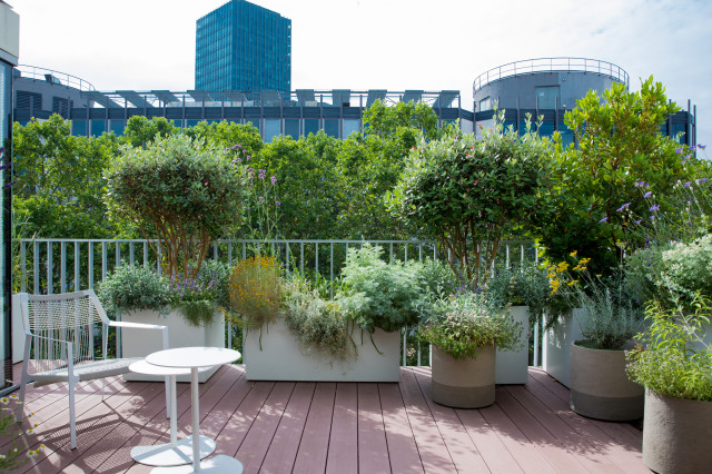 La terrasse Jussieu trendy-altan