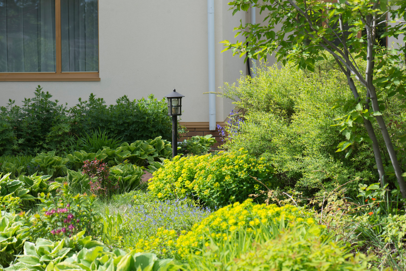 Большой сад в пригороде