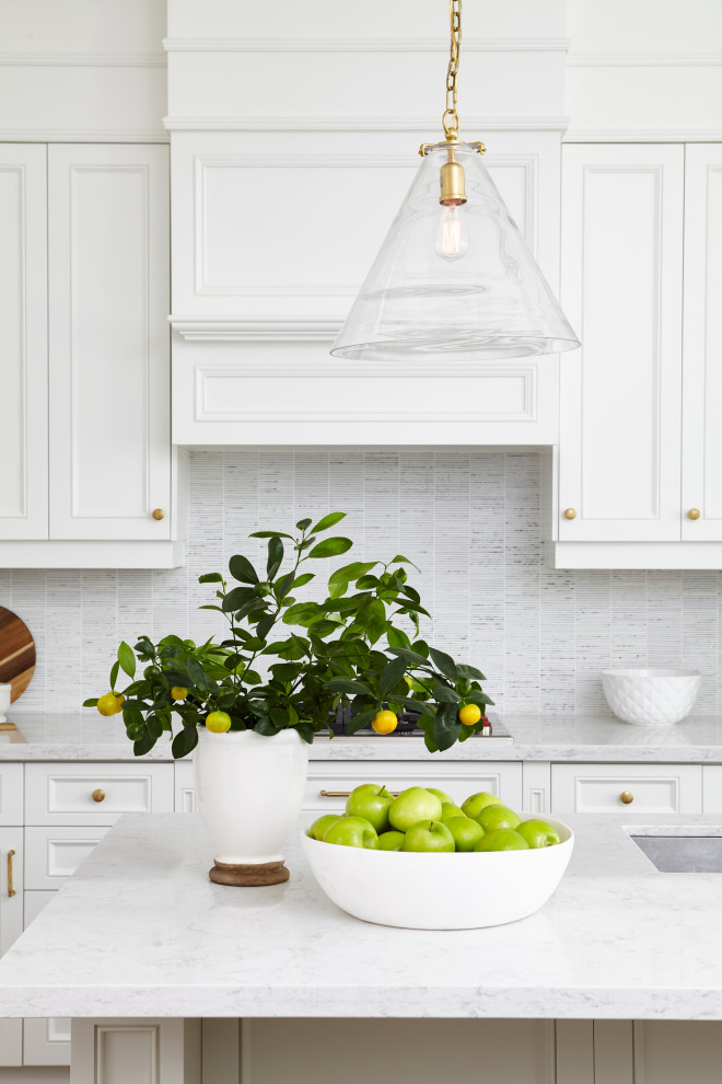 Inspiration for a transitional home design remodel in Toronto