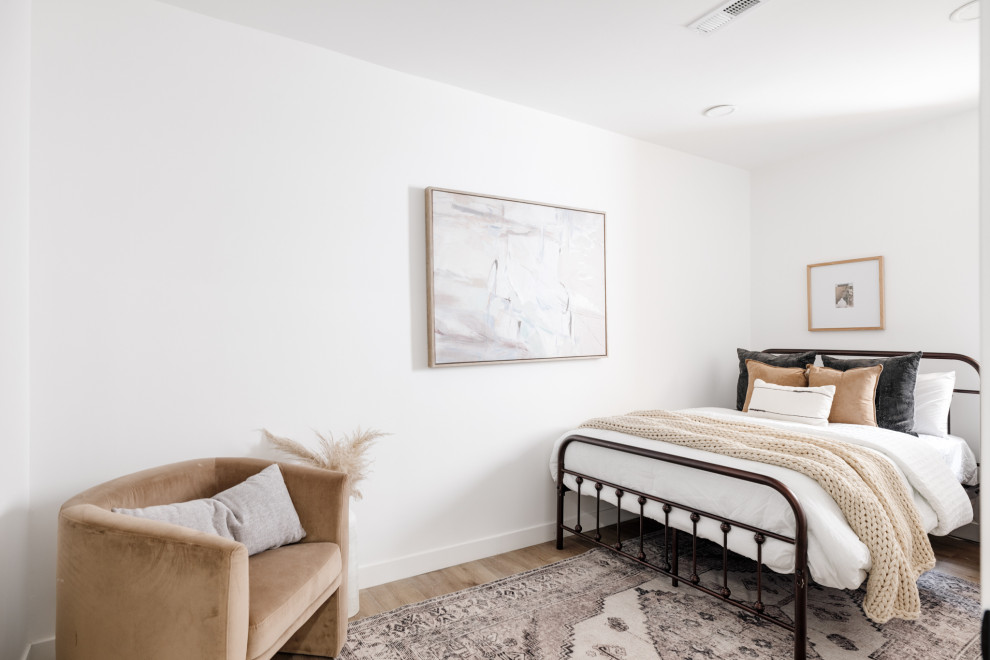 Platt Park Full Home Renovation