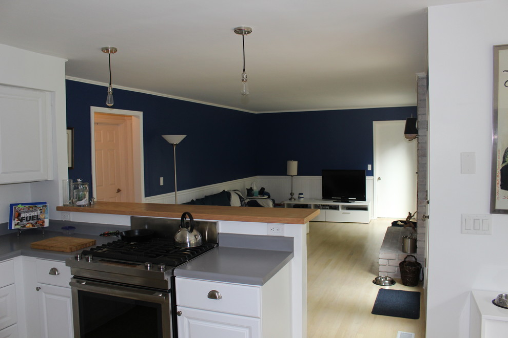 Kitchen - transitional kitchen idea in DC Metro