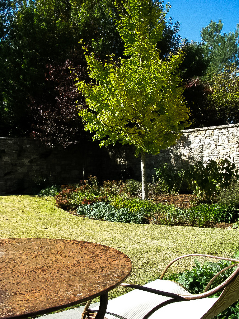 Interior Garden Area