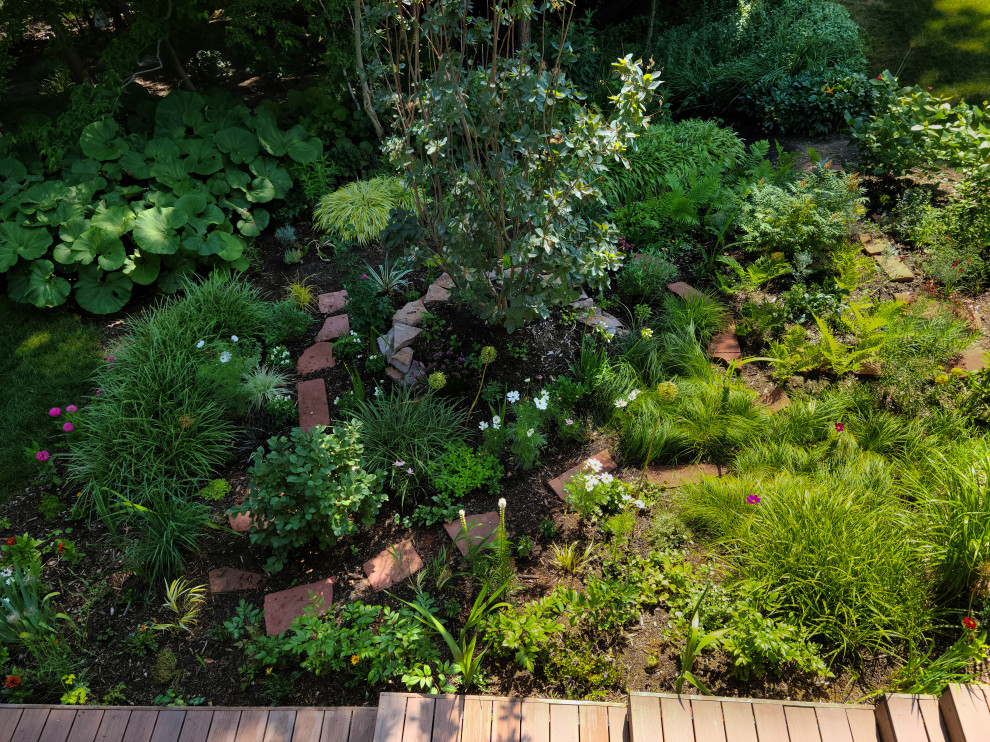Foto de jardín de estilo americano de tamaño medio en verano en patio trasero con paisajismo estilo desértico, exposición parcial al sol y adoquines de piedra natural