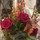arjumand_saleri