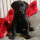jackie_marsom