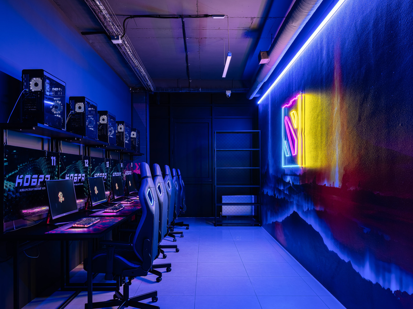 Киберспортивный клуб "Кобра"