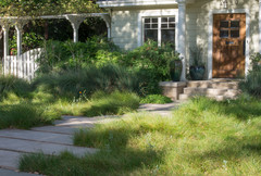 Inspiring Alternatives to the Traditional Front Lawn