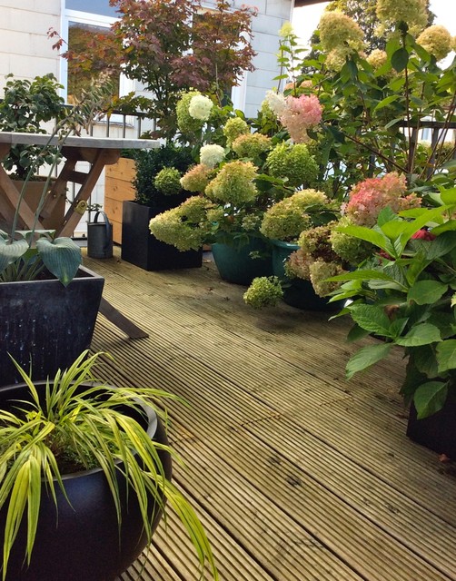 Sued- und Nordterrasse in Hamburg deck