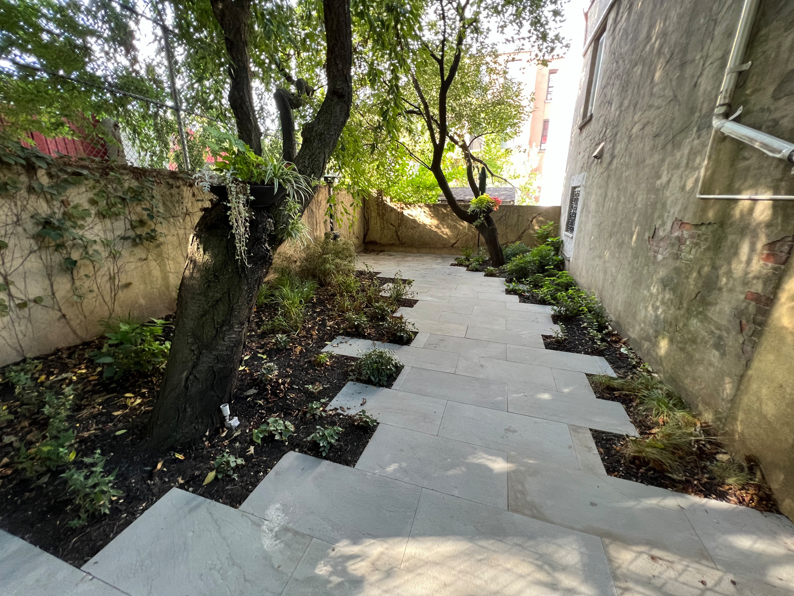 Modern Urban Shade Garden