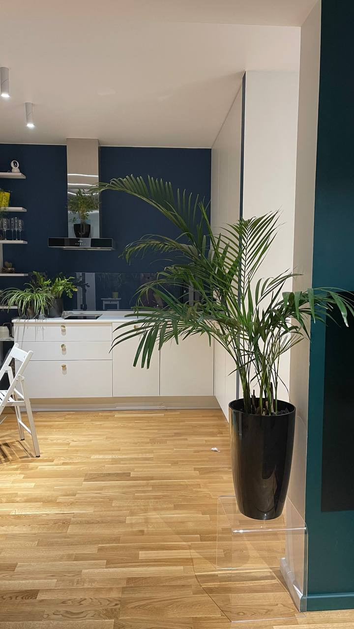 Квартира в ЖК Гринада (Реализация)