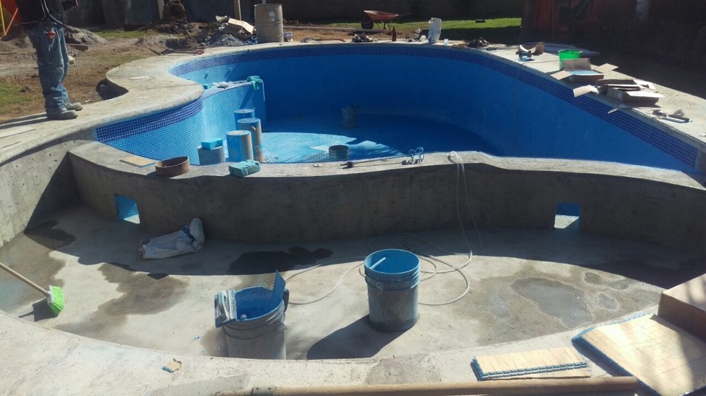 Piscina Basilia Pool Mexico City by Arquitectura y Albercas Houzz