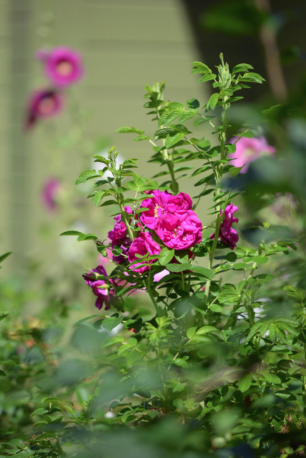 Проект "Волны".Пять лет спустя