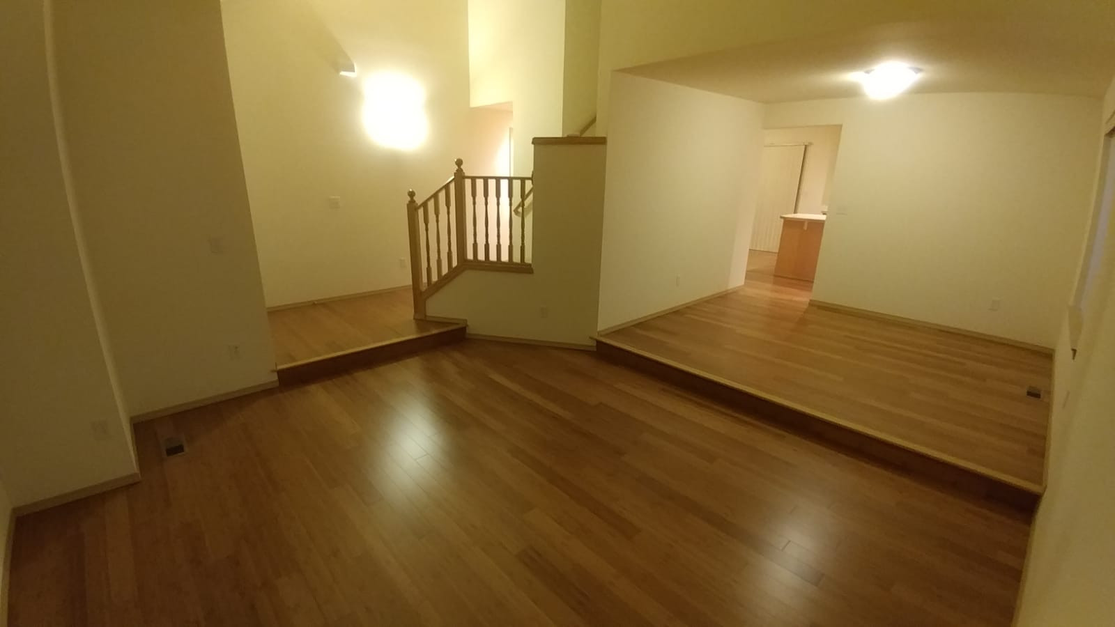 Bamboo for a Rental