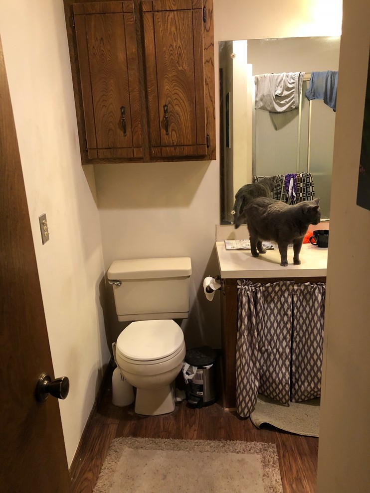 Ugly bathroom, low budget