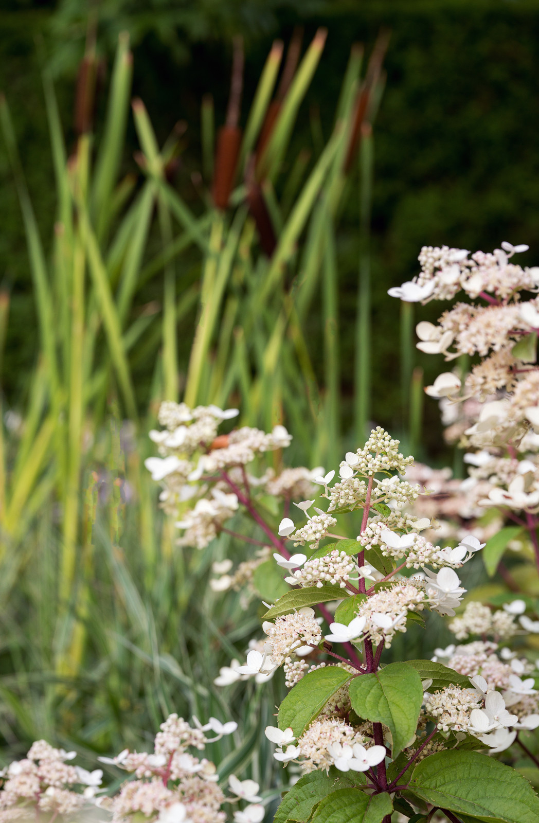 Сад Оксаны Хебородовой Гран-При на Москоу Флауер Шоу ( "Cад Вячеслава Зайцева")