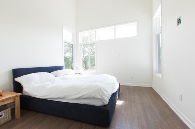 SW Minneapolis Modern Remodel/Addition contemporary-bedroom