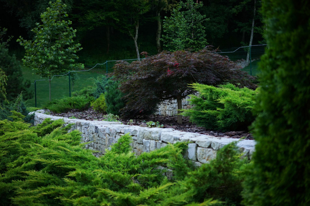 Лазурный Берег Сочи