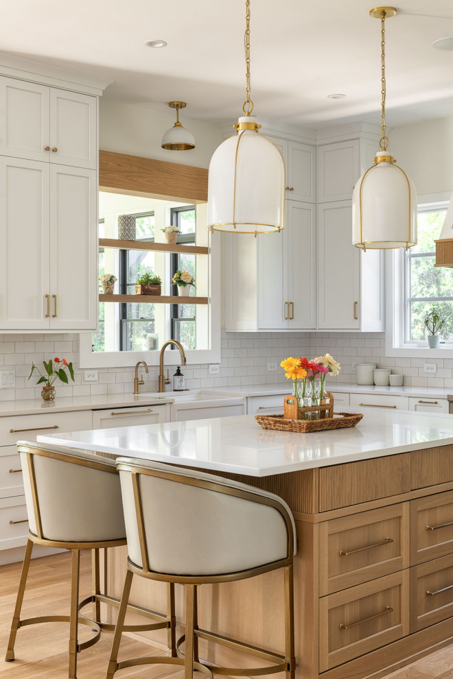 Kitchen - transitional kitchen idea in Chicago
