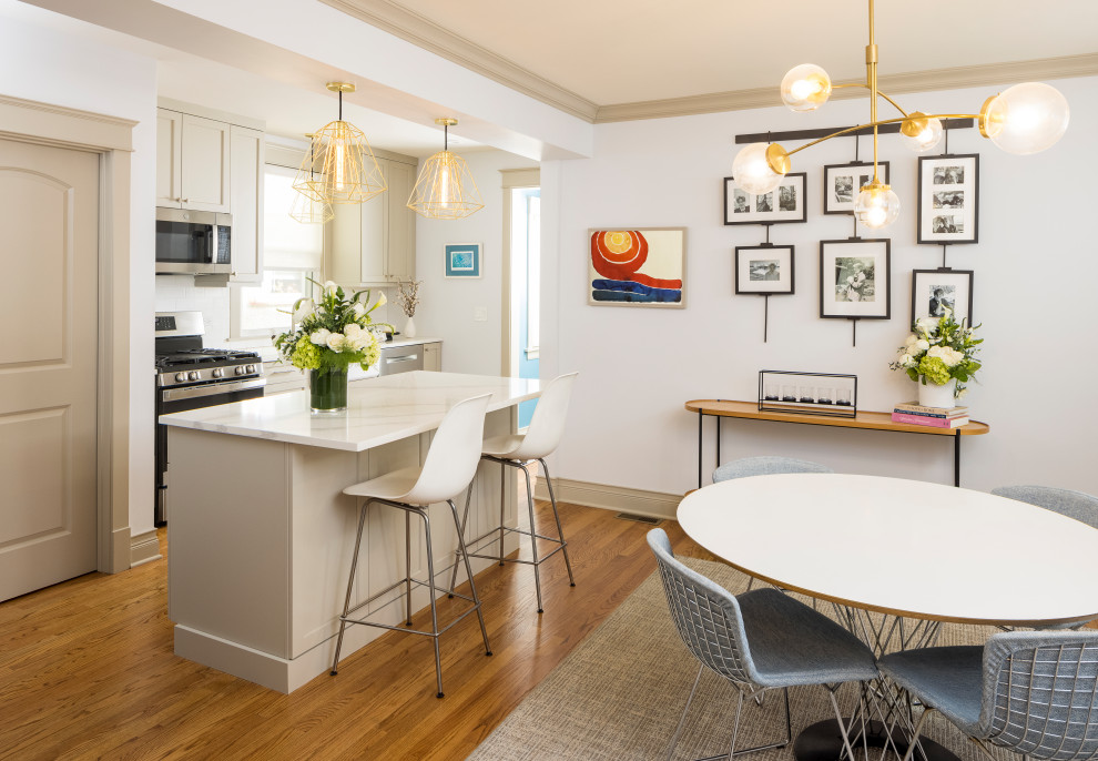 Inspiration for a transitional kitchen remodel in Chicago