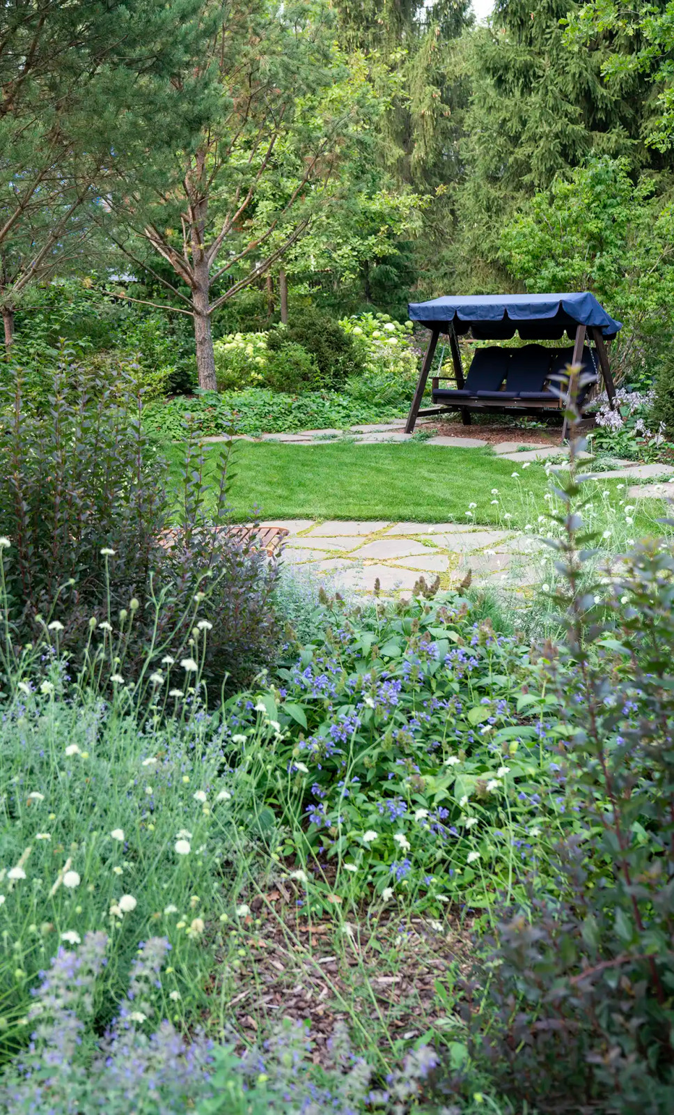 Круговорот  цвета. Дубровка 2021