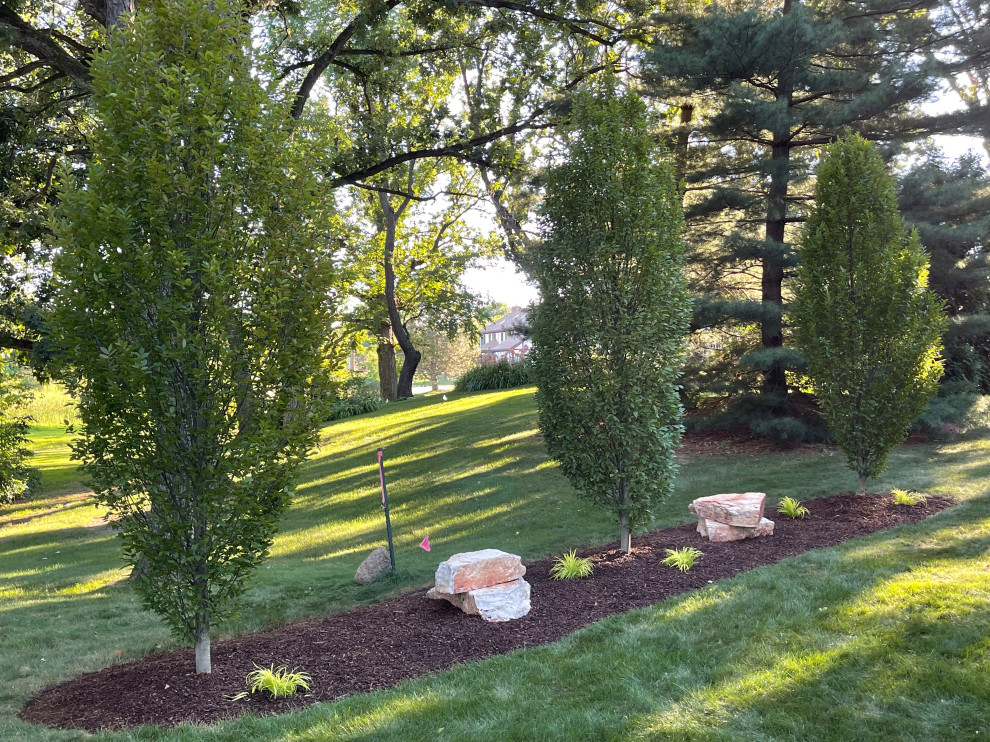 Design ideas for a transitional landscaping in Chicago.