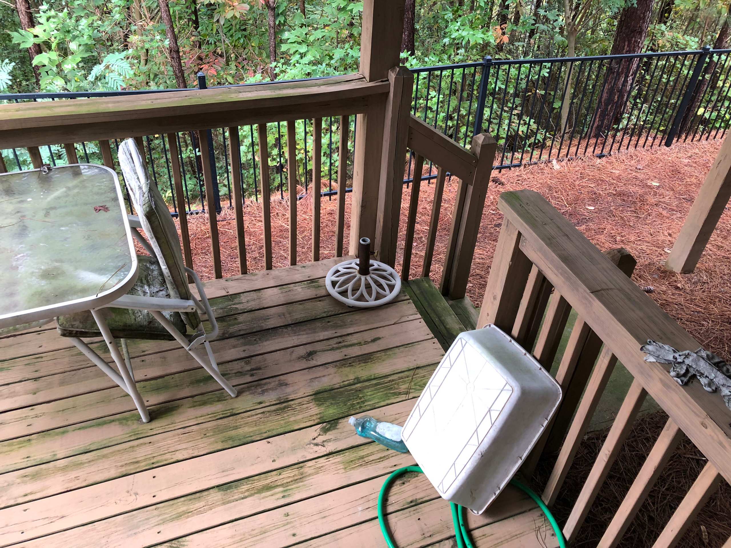 Basement Finishing + Deck Restauration