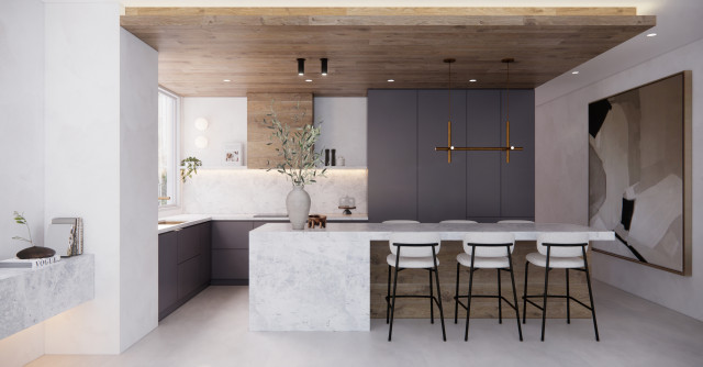 Contemporary Kitchen remodel, Gold Coast contemporary-kitchen