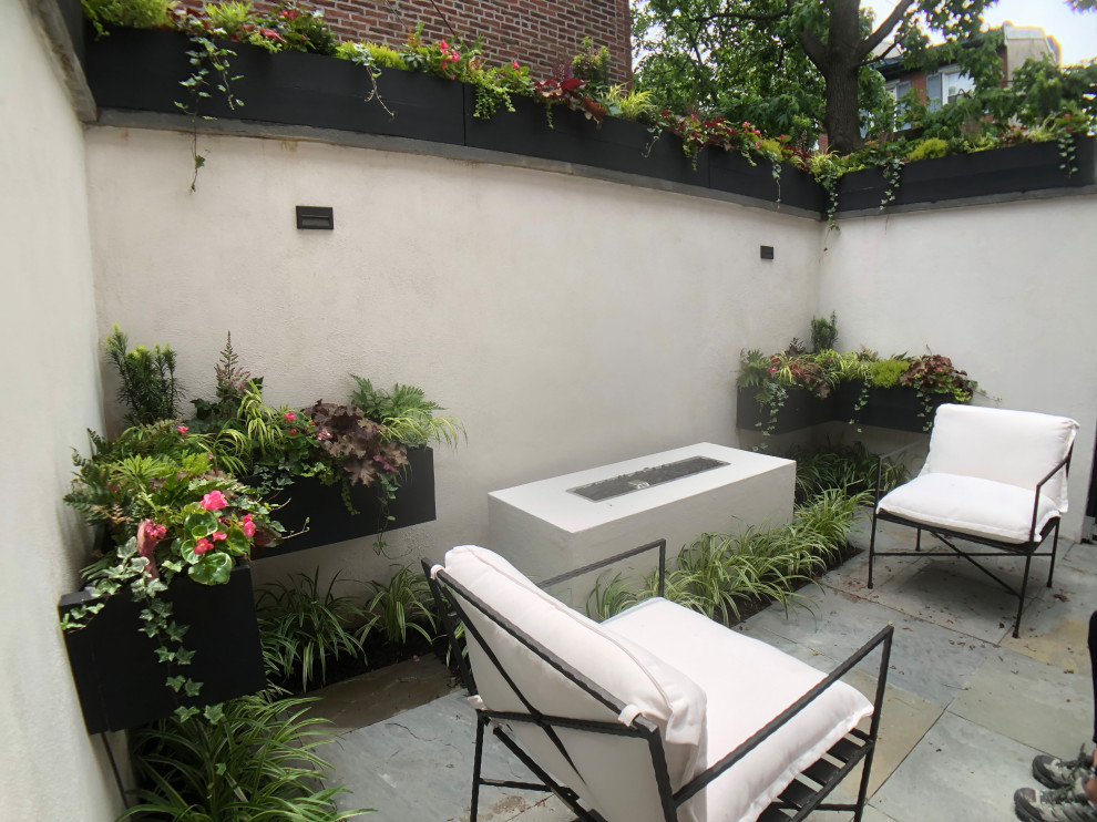 Inspiration for a small transitional courtyard partial sun garden in Philadelphia with a vertical garden, natural stone pavers and a wood fence.