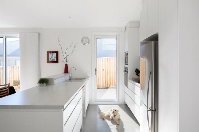Stray Leaf House modern-koek