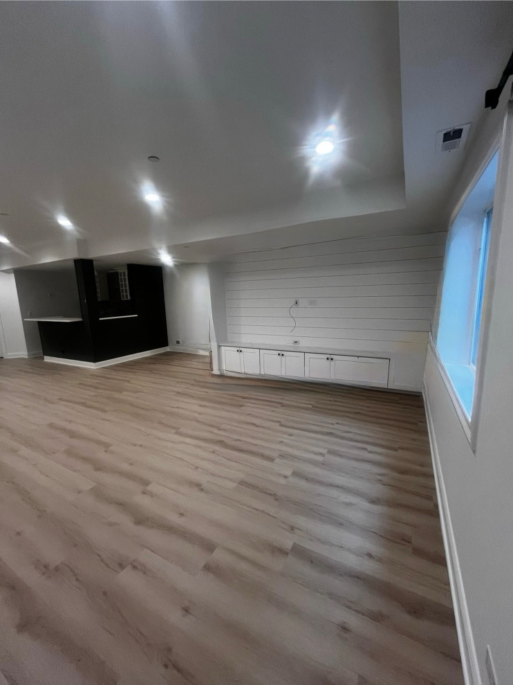 Basement Remodel