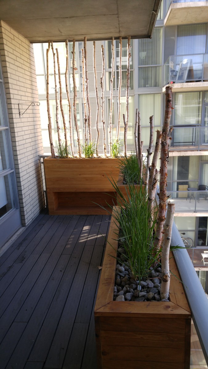 Inspiration for a mid-sized contemporary balcony in Toronto.