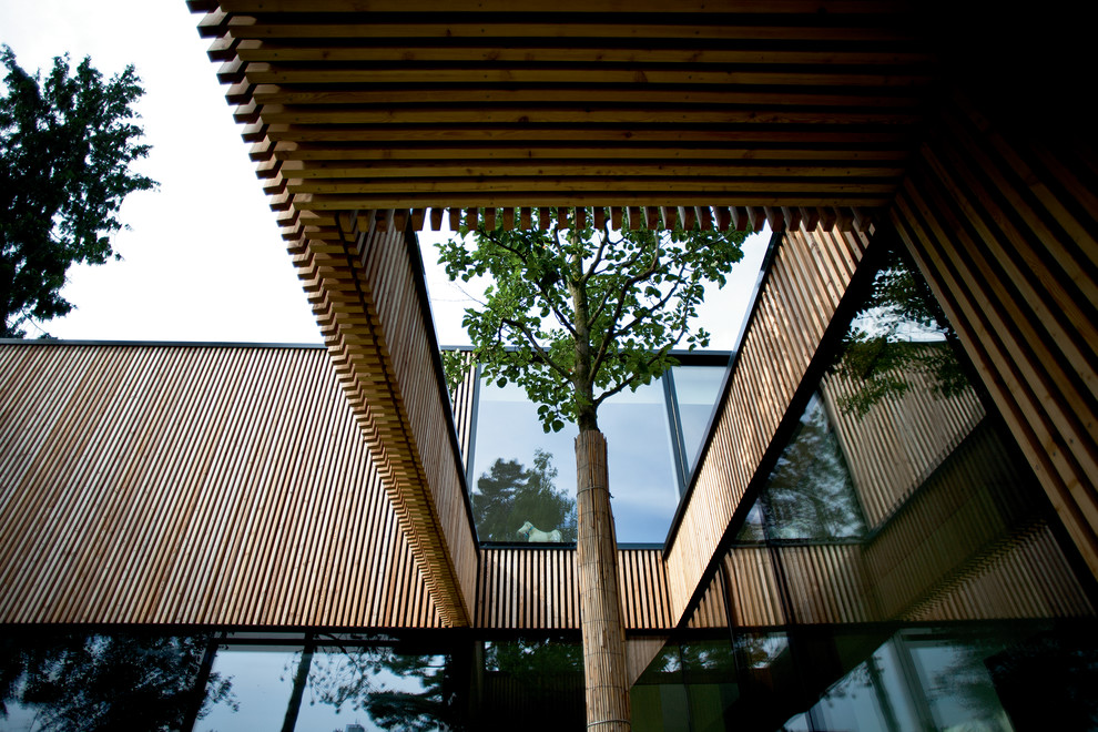 Photo of a contemporary patio in Stuttgart.