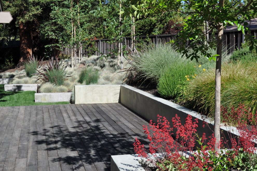 Inspiration for a modern garden in San Francisco with a retaining wall.