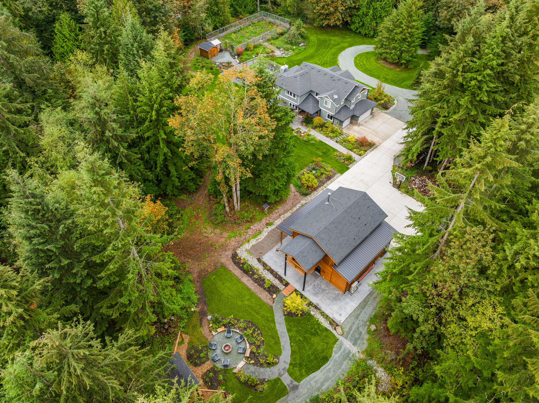 The Tree House