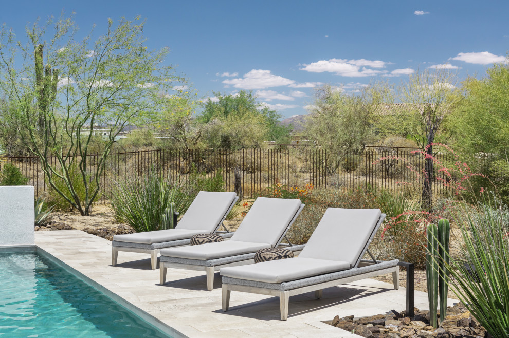 Pool - modern pool idea in Phoenix