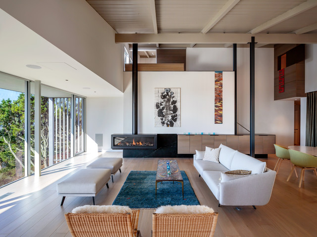 Summit Whole House Renovation mid-century-wohnbereich