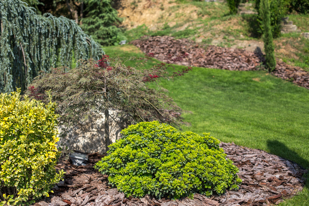 Ландшафтный Дизайн Олимпийский Сочи