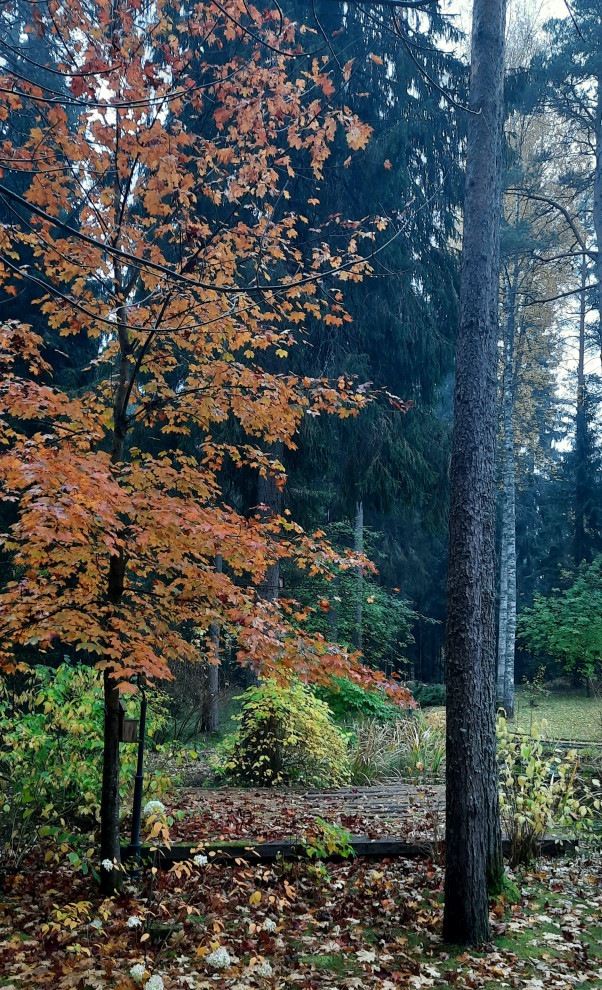 Романтический сад в пейзажном стиле