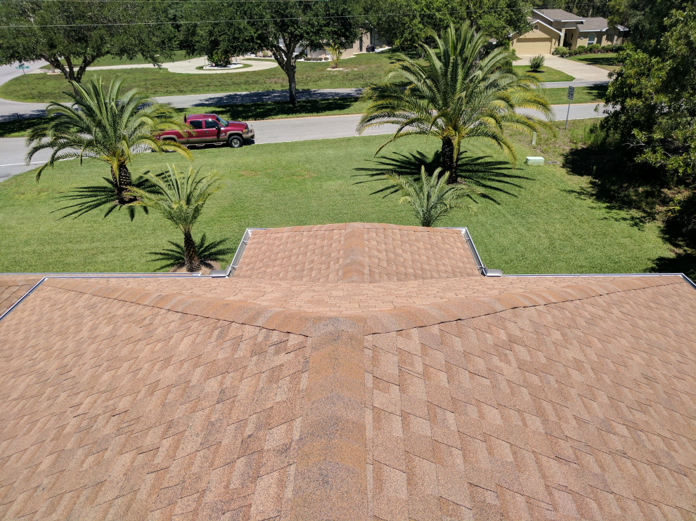 Shingle Roof