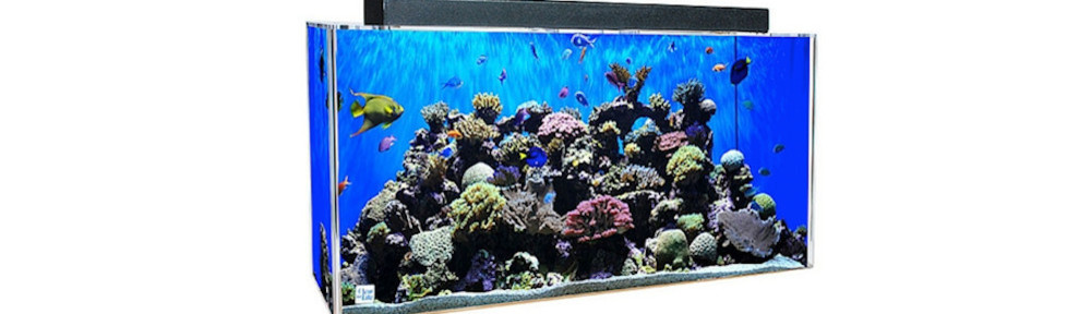 clear for life houzz