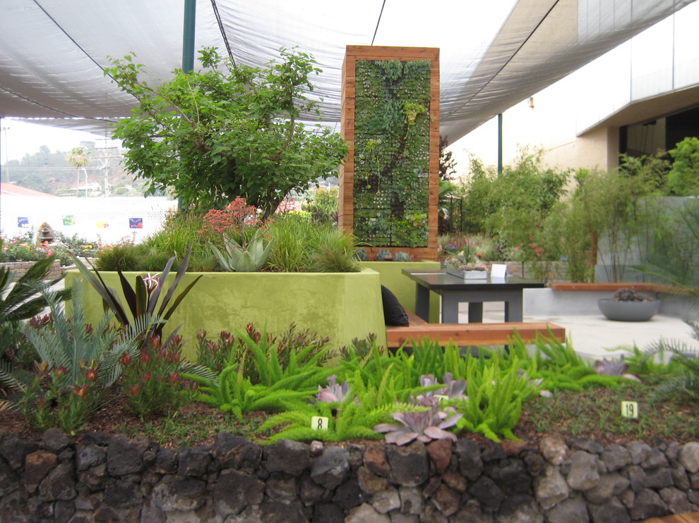 Inspiration for a modern landscaping in San Diego.