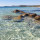 ilhame_madane