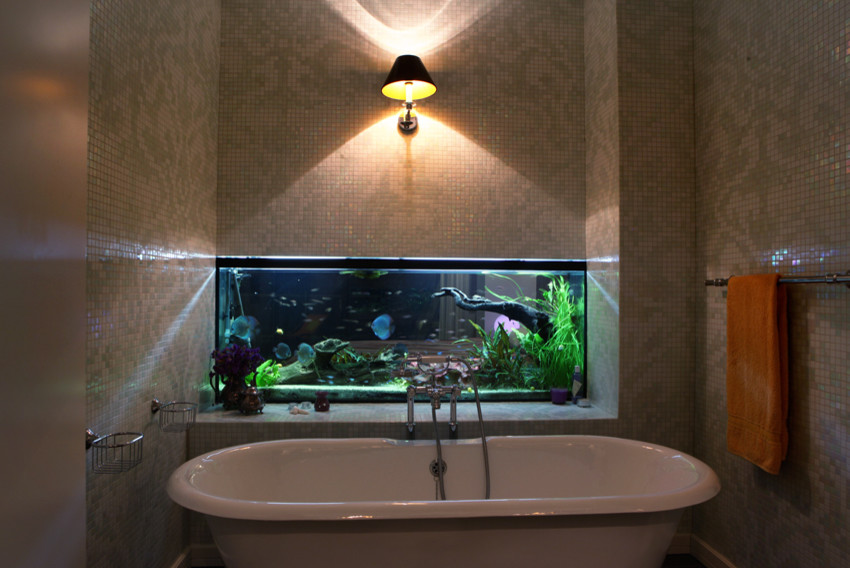 7 Amazing Locations in a House to Install an Aquarium