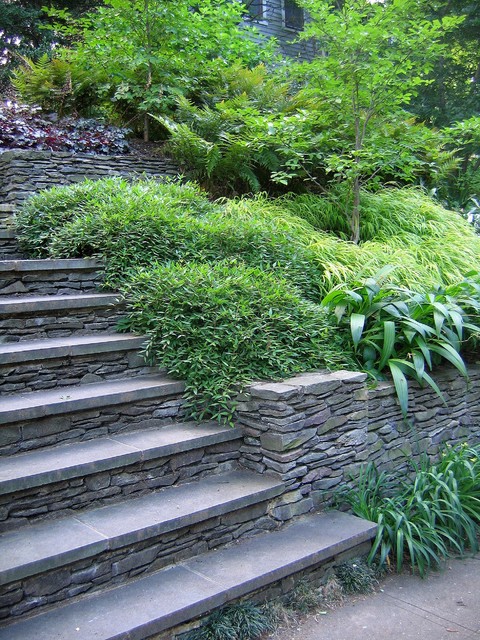FOCUS: Garden Walls contemporary-garden