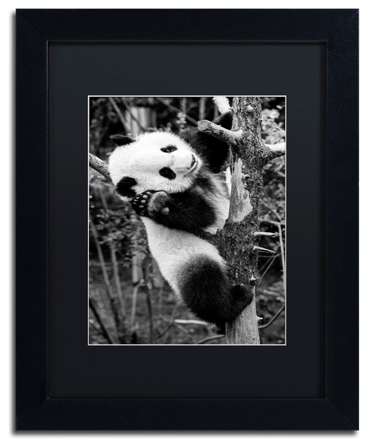Philippe Hugonnard 'Panda II' Art, Black Frame, Black Matte, 14"x11"