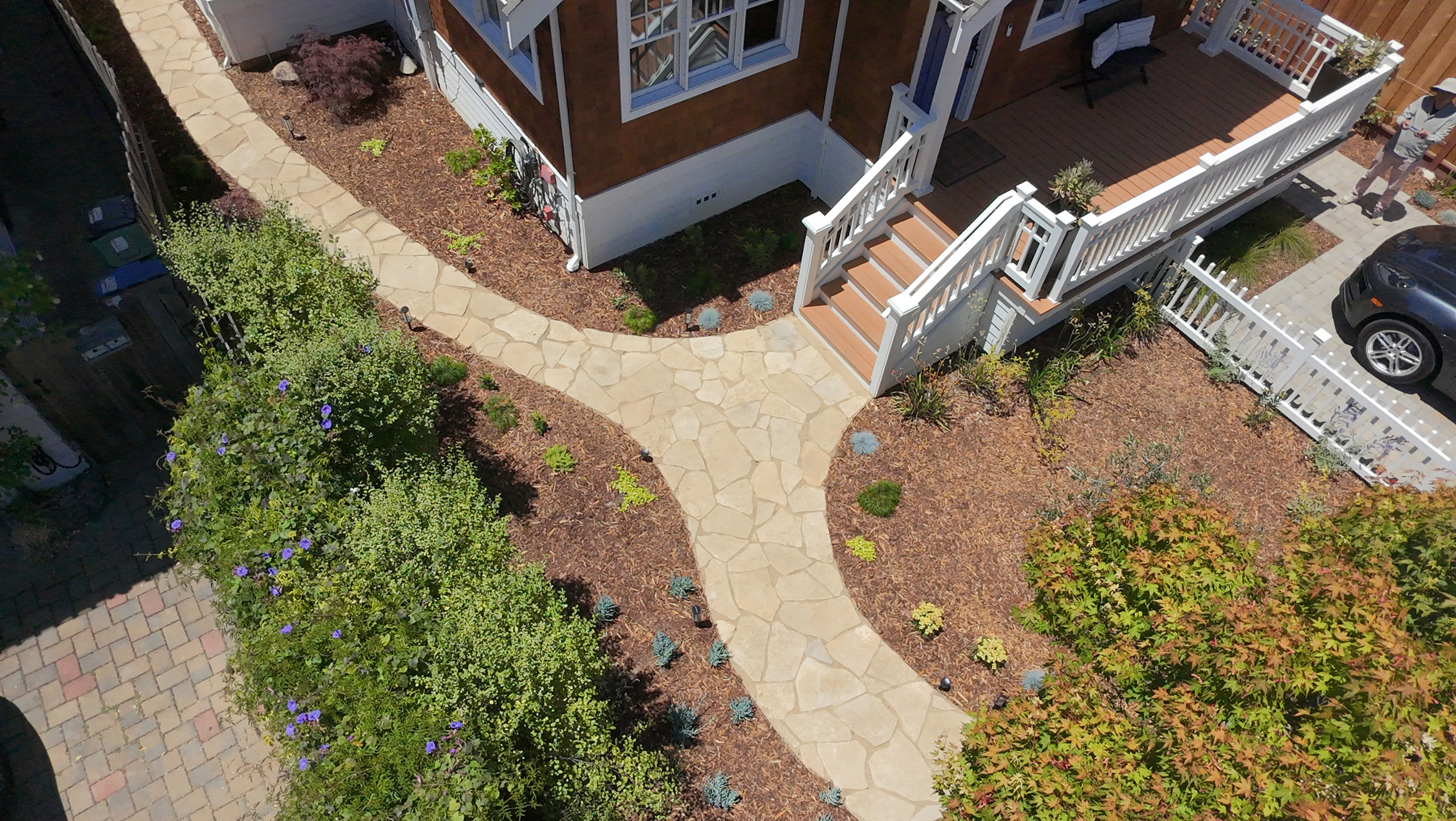 A Modern Take on the Cottage Garden
