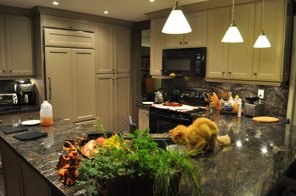 Example of a transitional kitchen design in Toronto