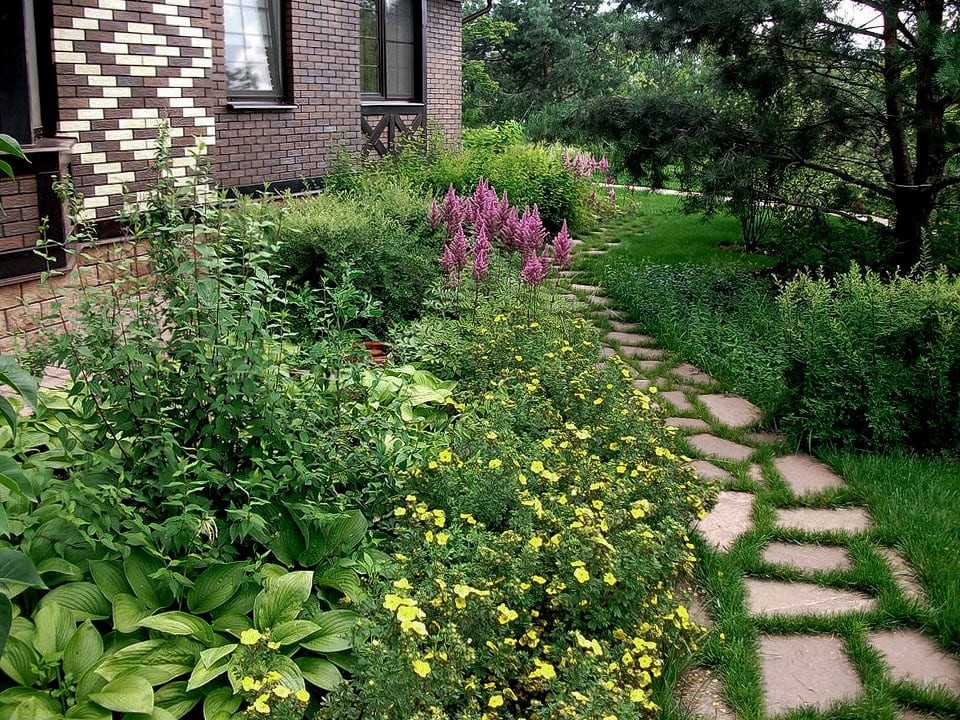 Ильинское шоссе. 50 соток.