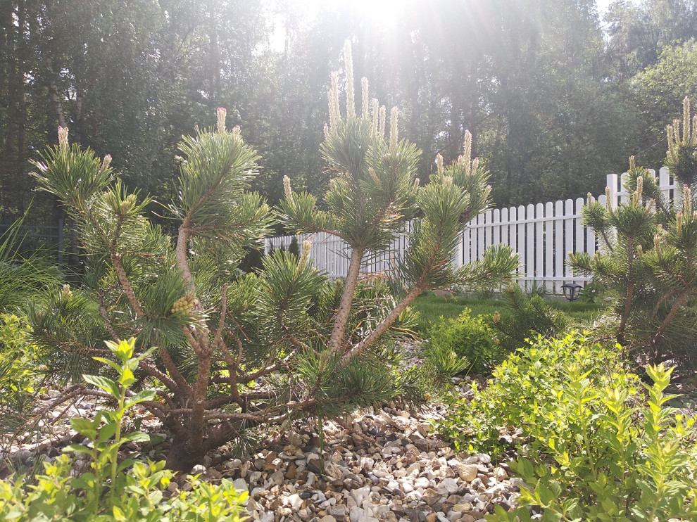 Английский садик