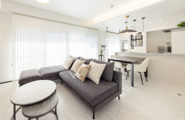 LDK modern-living-room